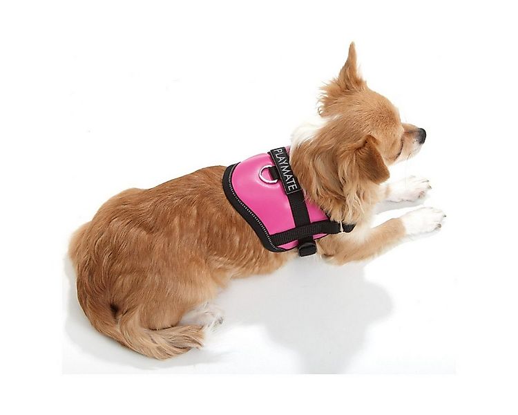 Karlie Hunde-Geschirr Teeny Weeny Geschirr beige günstig online kaufen