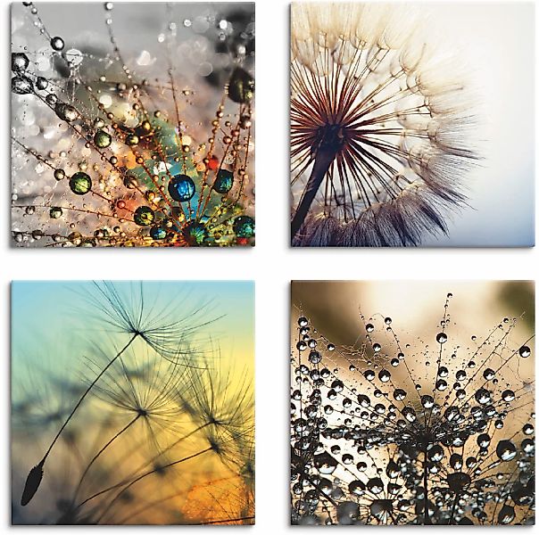 Artland Leinwandbild "Pusteblume,Nahaufnahme Löwenzahn" Blumen 4 Stk. tlg. günstig online kaufen