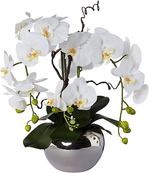 Creativ green Kunstorchidee "Phalaenopsis" im Keramiktopf günstig online kaufen