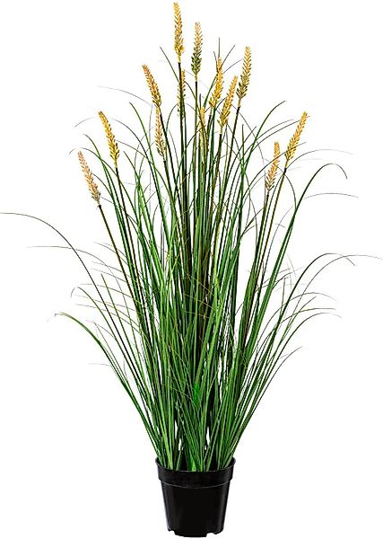 Kunstgras Grasbusch Pennisetum Gras, Creativ green, günstig online kaufen
