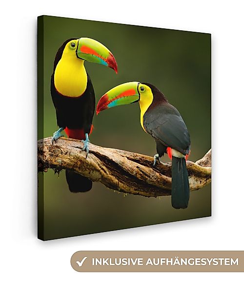 OneMillionCanvasses® Leinwandbild Vögel - Tukan - günstig online kaufen