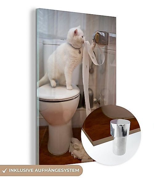 MuchoWow Acrylglasbild Katze spielt mit Toilettenpapier, Inkl. Aufhängung, günstig online kaufen