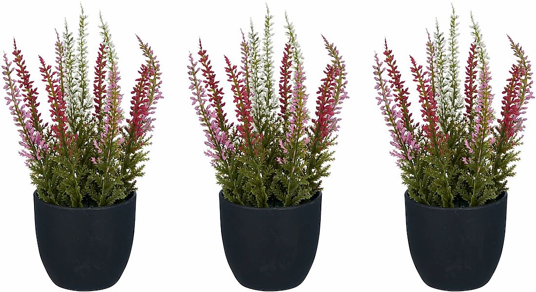 Creativ green Kunstpflanze "Heidepflanze" mit detailgetreuer Gestaltung günstig online kaufen