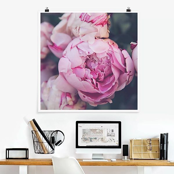 Poster Blumen - Quadrat Pfingstrosenblüte Shabby günstig online kaufen