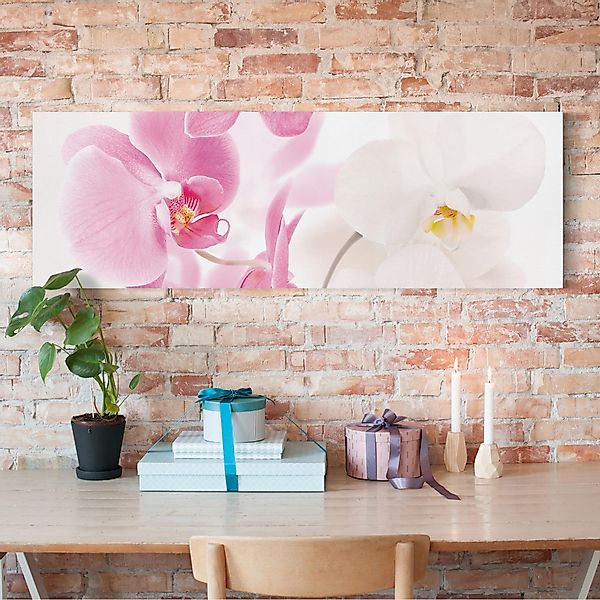 Leinwandbild - Panorama Delicate Orchids günstig online kaufen