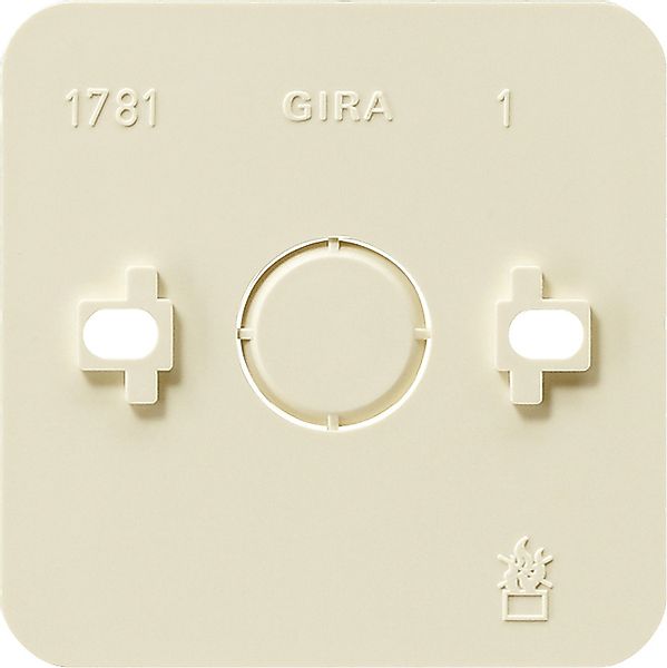 Gira Montageplatte 1f.cws AP 008113 günstig online kaufen