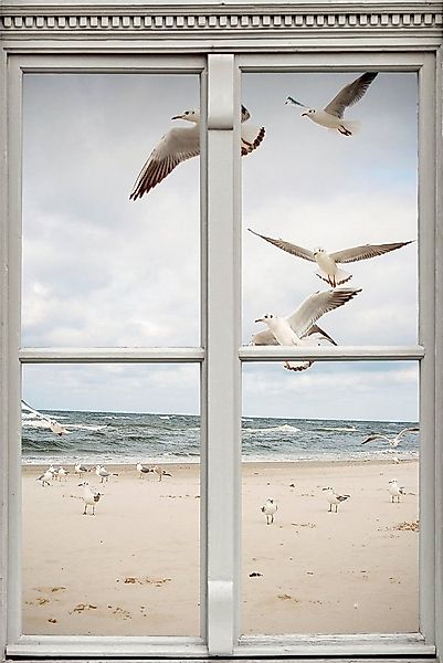 queence Wandsticker Möwen am Strand, Wandsticker, Wandbild, selbstklebend, günstig online kaufen