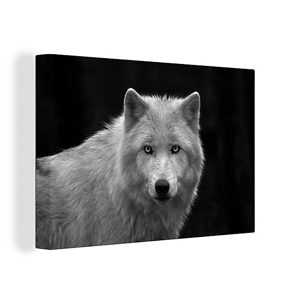 OneMillionCanvasses® Leinwandbild Starrender Lakota-Wolf auf schwarzem günstig online kaufen
