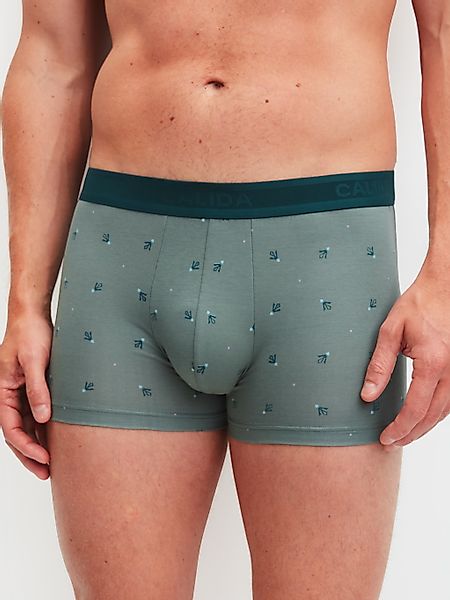 CALIDA Boxer "Grafic Cotton" ohne Eingriff, mit Softgummibund, Single-Jerse günstig online kaufen