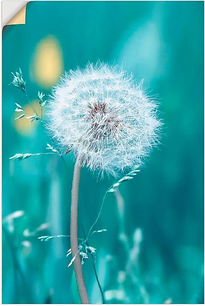 Artland Wandbild "Pusteblume", Blumen, (1 St.), als Leinwandbild, Poster, W günstig online kaufen