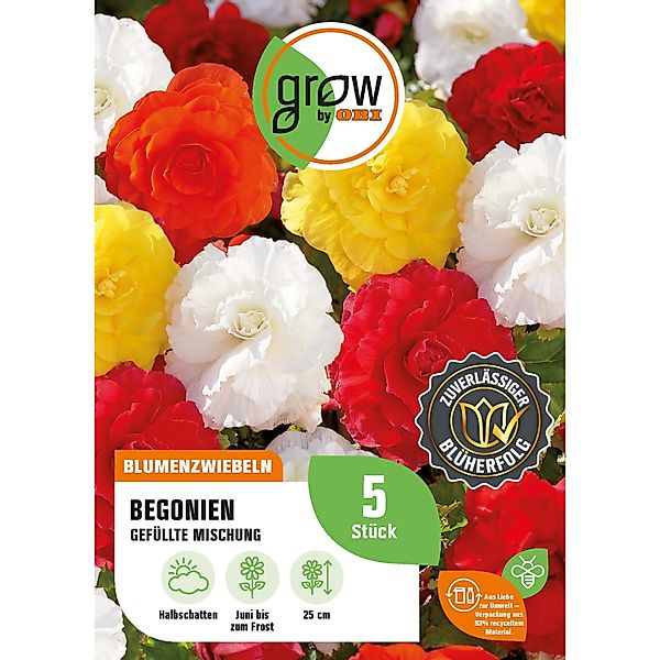 GROW by OBI Begonien Gefüllt Mehrfarbig Höhe ca. 25 cm Begonia double günstig online kaufen