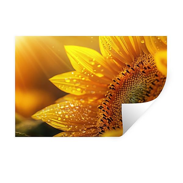MuchoWow Wandsticker Sonnenblume - Tautropfen - günstig online kaufen