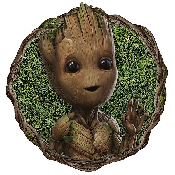Komar Wandtattoo »selbstklebendes Vlies - Groot Little Twig - Größe 125 x 1 günstig online kaufen
