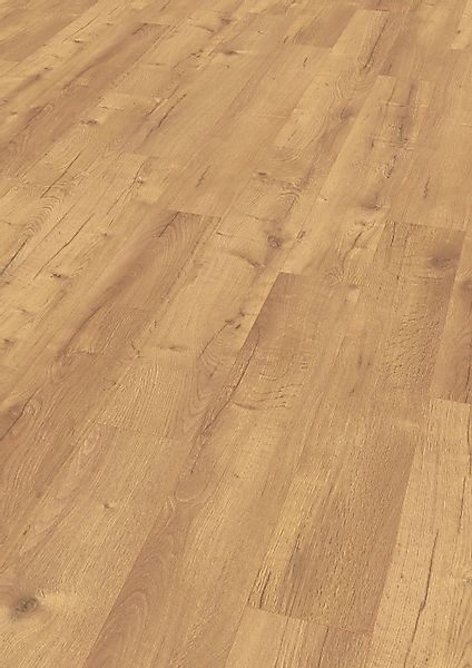Egger Classic Laminat 7 mm Eiche Dunino Natur günstig online kaufen