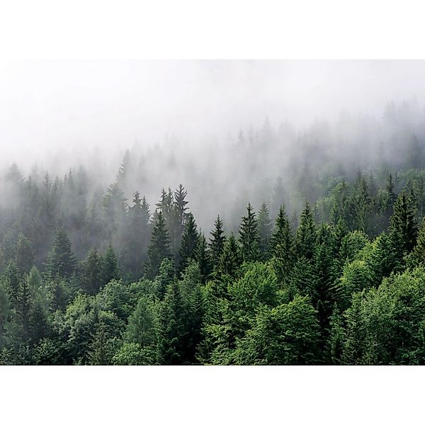 Sanders & Sanders Fototapete Berglandschaft Mit Bäumen Grün 3,75 x 2,7 m 60 günstig online kaufen