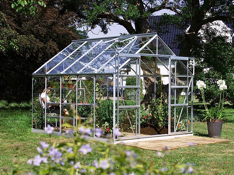 KONIFERA Gewächshaus Calisto 8300, BxTxH: 257 günstig online kaufen