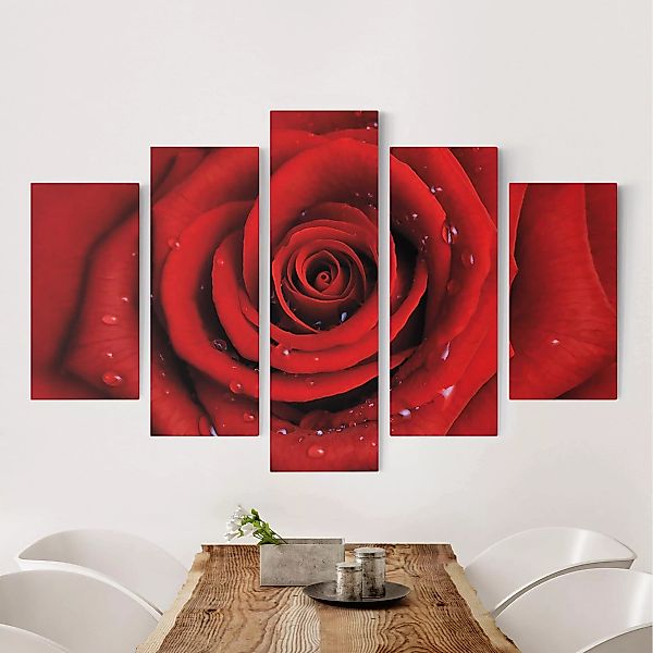 5-teiliges Leinwandbild - Querformat Rote Rose mit Wassertropfen günstig online kaufen