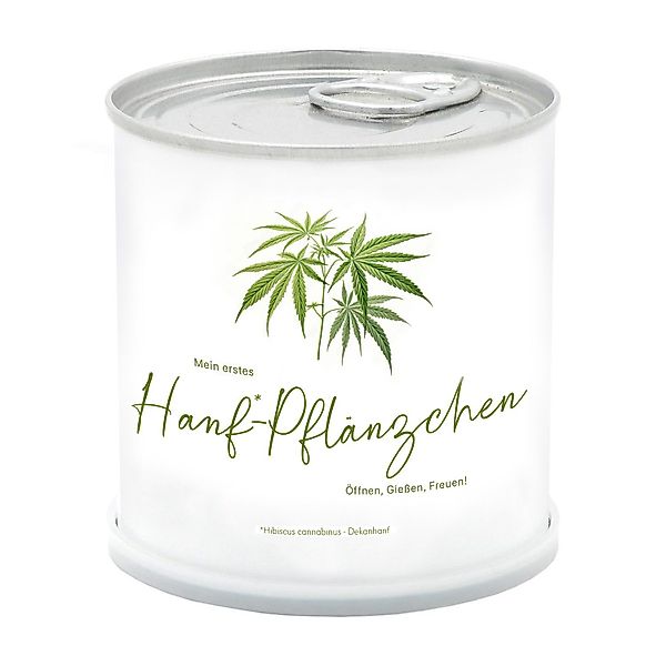 MacFlowers® Blumentopf Mein erstes „Hanfpflänzchen”, Originelle günstig online kaufen