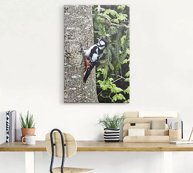 Artland Wandbild "Buntspecht im Wald", Vögel, (1 St.) günstig online kaufen