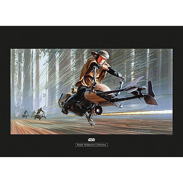 Komar Bild "Star Wars Classic RMQ Endor Speeder" Star Wars 1 Stk. tlg. Wand günstig online kaufen