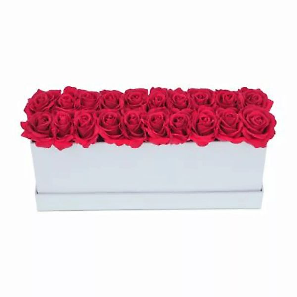 relaxdays Weiße Rosenbox lang mit 20 Rosen rot/weiß günstig online kaufen