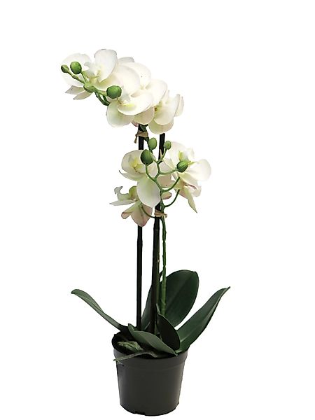 Kunstorchidee künstliche Phalaenopsis Bora 50cm mit günstig online kaufen