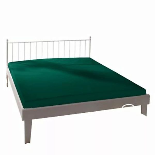 bassetti Spannbettlaken Single-Jersey dunkelgrün Gr. 90-100 x 190-220 günstig online kaufen
