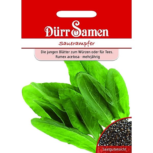 Dürr Samen Sauerampfer Saatgut günstig online kaufen