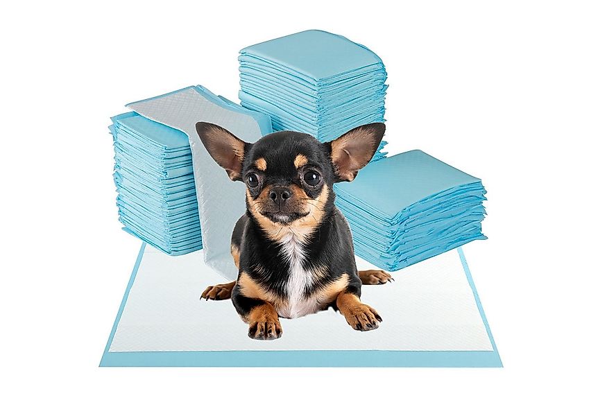 COSTWAY Hundetoilette, Hunde Trainingsunterlagen, Hundematte, 300 Stück günstig online kaufen