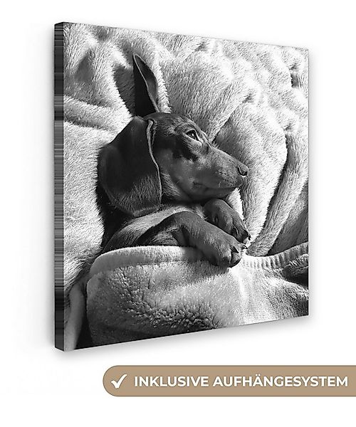 OneMillionCanvasses® Leinwandbild Niedlicher Dackel liegt unter der Bettdec günstig online kaufen