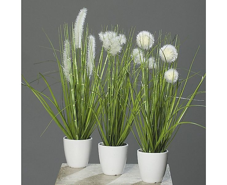 Kunstpflanze Kunstpflanze Gras im weißen Topf 3 Stück H38cm Grün/Creme Kuns günstig online kaufen