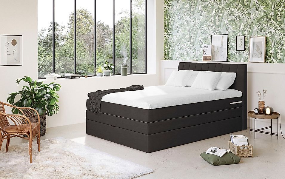 COTTA Boxspringbett Shark inkl. Bettkasten und Topper, erhältlich in den Br günstig online kaufen