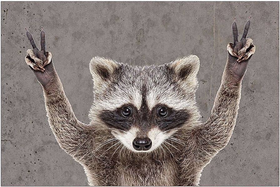 matches21 HOME & HOBBY Fußmatte Türmatte Waschbär lustig in 40x60 cm als Fu günstig online kaufen