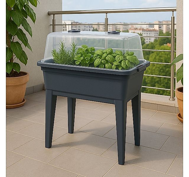 dynamic24 Hochbeet, inkl. Deckel Gewächshaus Frühbeet Treibhaus Pflanzkaste günstig online kaufen