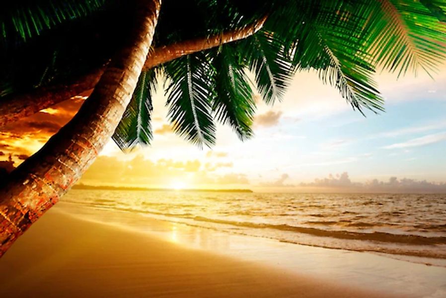 Papermoon Fototapete »Caribbean Beach Sunrise« günstig online kaufen
