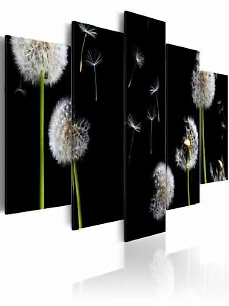 artgeist Wandbild Pusteblume - Richtung Freiheit mehrfarbig Gr. 200 x 100 günstig online kaufen