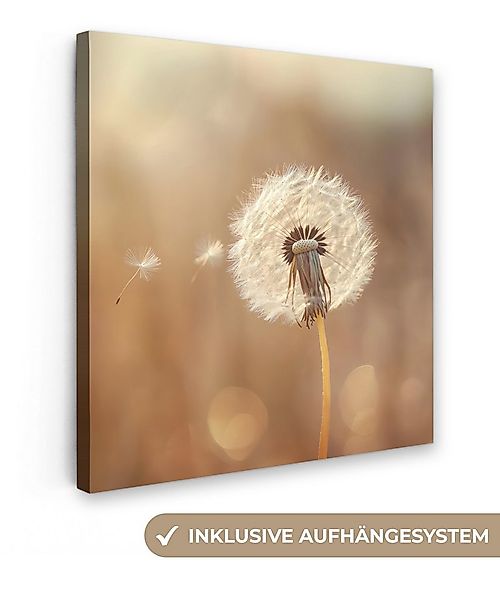OneMillionCanvasses® Leinwandbild Löwenzahn - Beige - Natur - Blume, Fotodr günstig online kaufen