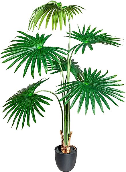 Kunstbaum Washingtonia Grünpflanze, Creativ green, Höhe günstig online kaufen