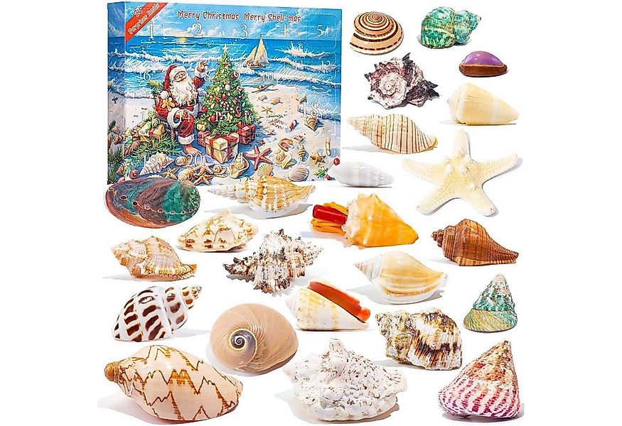 LuxusKollektion Spielzeug-Adventskalender Adventskalender 2024 Muscheln für günstig online kaufen