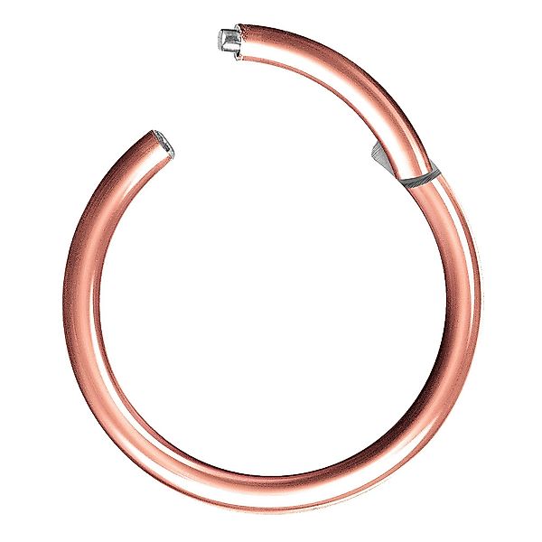 Taffstyle Nasenpiercing Segmentring Piercing Titan G23 günstig online kaufen