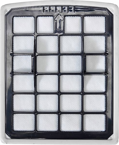 Hanseatic Ersatzfilter Set, Inlet Filter + Motorschutzfilter, 2 tlg. günstig online kaufen