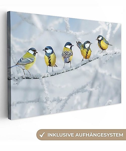 OneMillionCanvasses® Leinwandbild Vogel - Kohlmeise - Winter - Schnee - Zwe günstig online kaufen