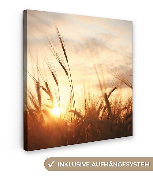 OneMillionCanvasses® Leinwandbild Schilf - Gras - günstig online kaufen