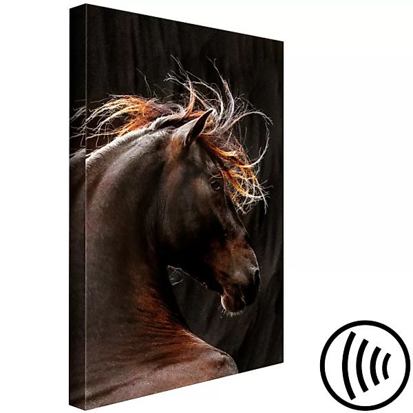 Wandbild Pferd mit orangefarbener Mähne - Tier auf einem schwarzen Hintergr günstig online kaufen