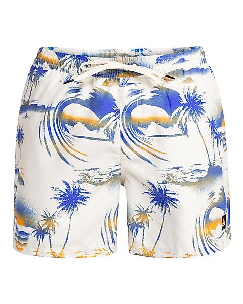 Quiksilver Boardshorts The Airbrush günstig online kaufen