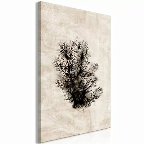 artgeist Wandbild Oceanic Flora (1 Part) Vertical braun/schwarz Gr. 40 x 60 günstig online kaufen