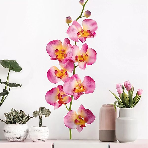 Wandtattoo Blumen No.177 Orchidee Rosa II günstig online kaufen