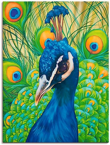 Artland Wandbild "Pfau", Vögel, (1 St.), als Leinwandbild, Poster in versch günstig online kaufen