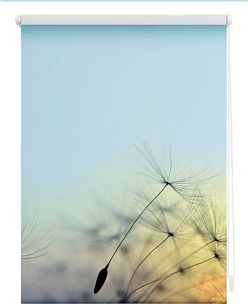 Seitenzugrollo Klemmfix Motiv Pusteblume, LICHTBLICK ORIGINAL, günstig online kaufen