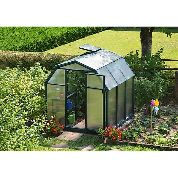 Palram - Canopia Gewächshaus Eco Growl 201 cm x 204 cm Grün günstig online kaufen